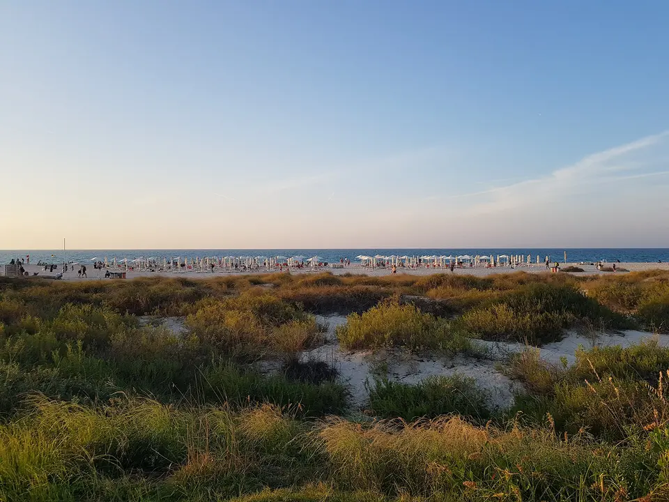 Saadiyat Public Beach and Mamsha Al Saadiyat