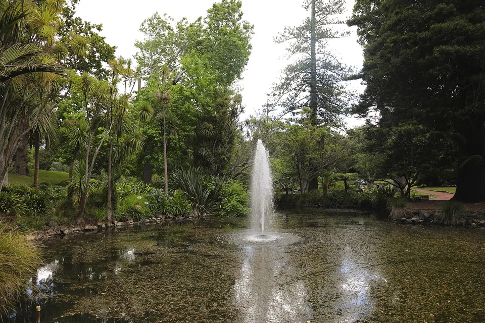 Auckland Domain and the Wintergardens
