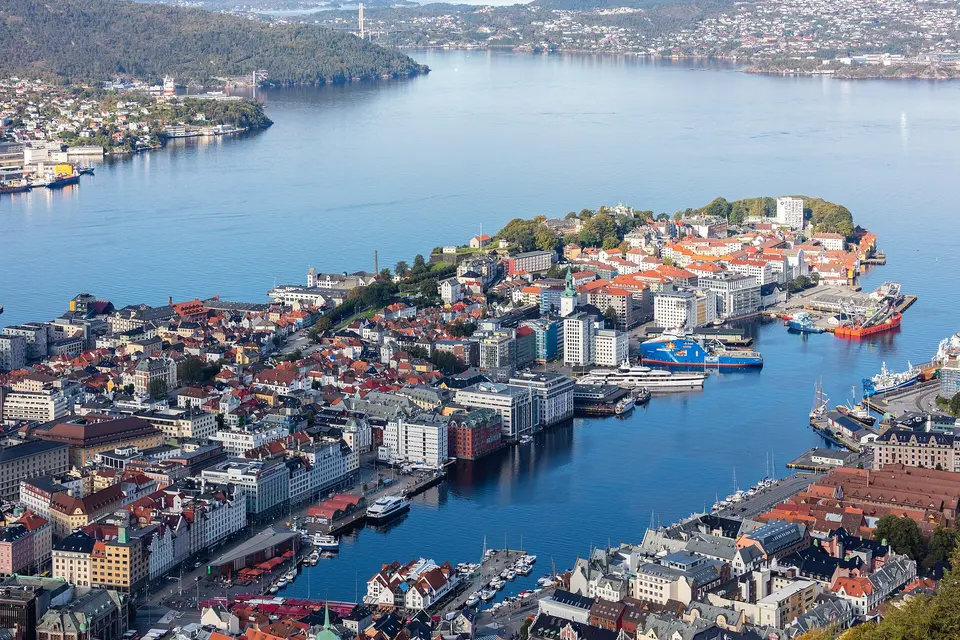 Fløyen