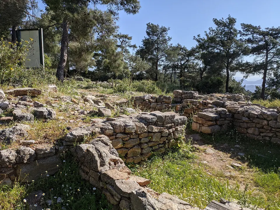 Pedasa