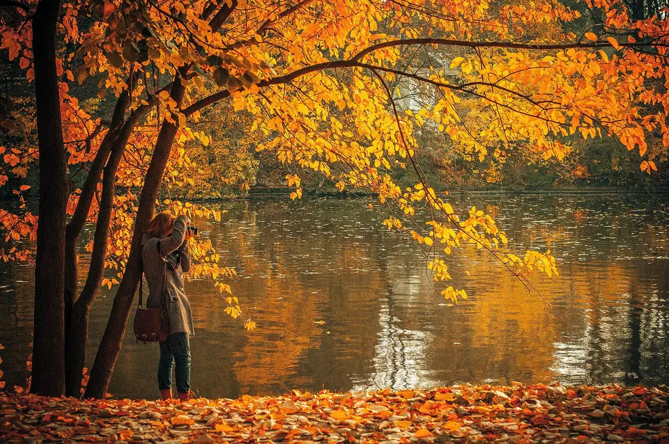 Herăstrău Park