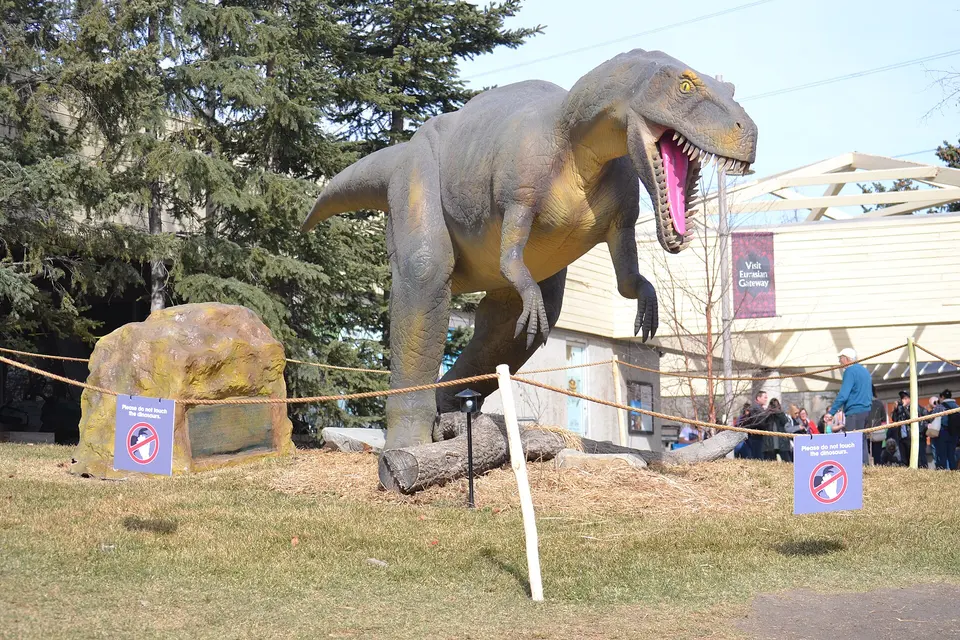 Wilder Institute / Calgary Zoo