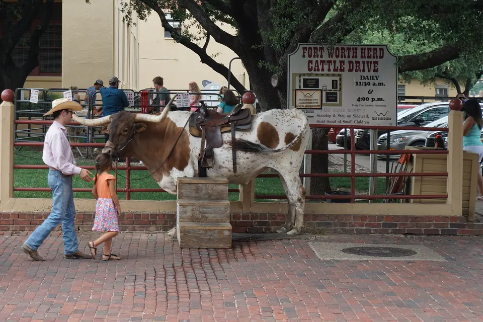 Fort Worth Stockyards