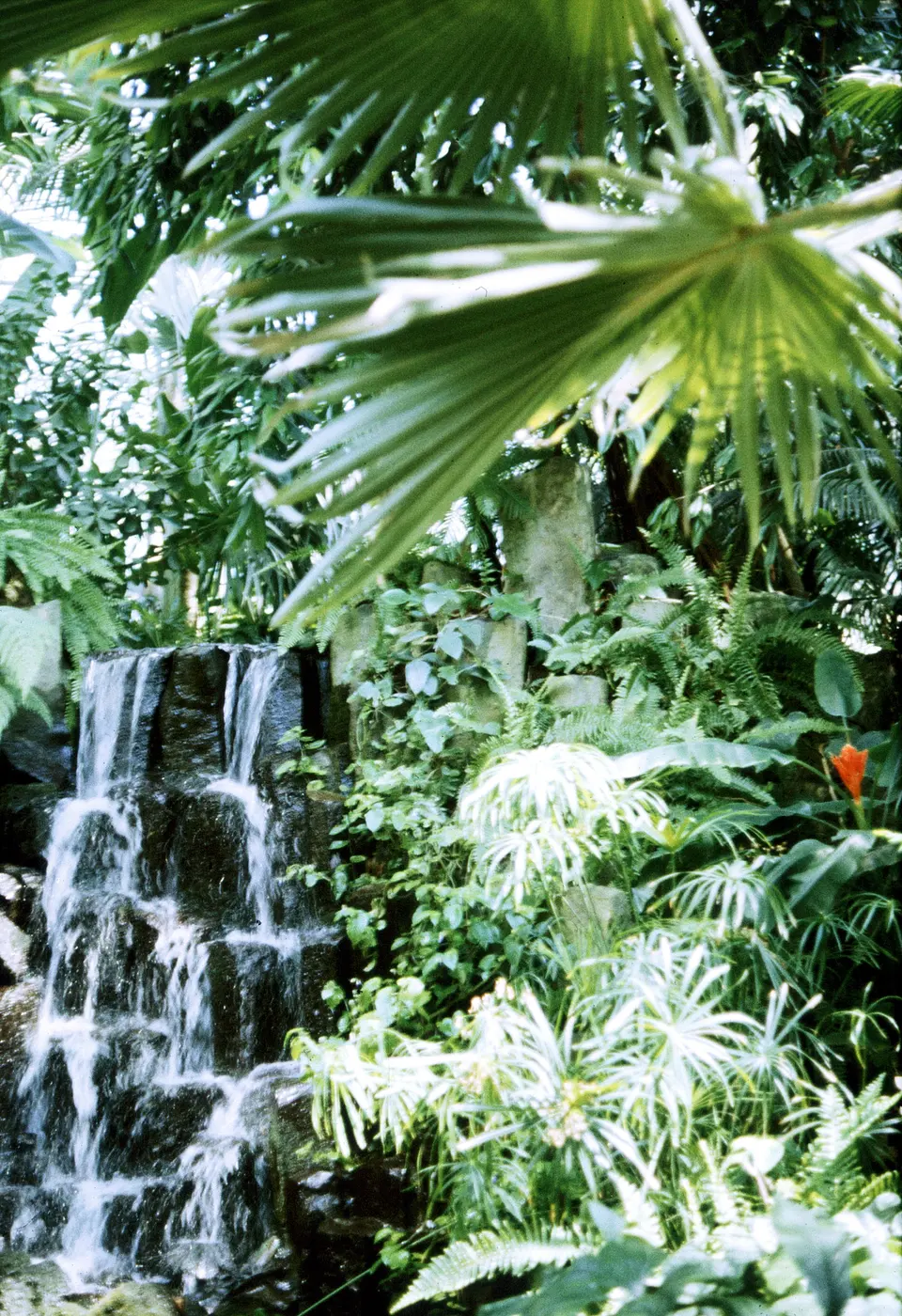 Palmengarten