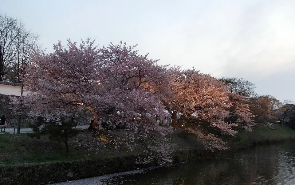 Fukuoka Castle ruins and Maizuru Park