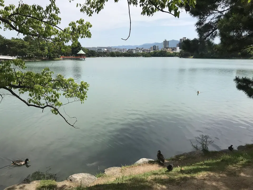 Ōhori Park and the Japanese Garden