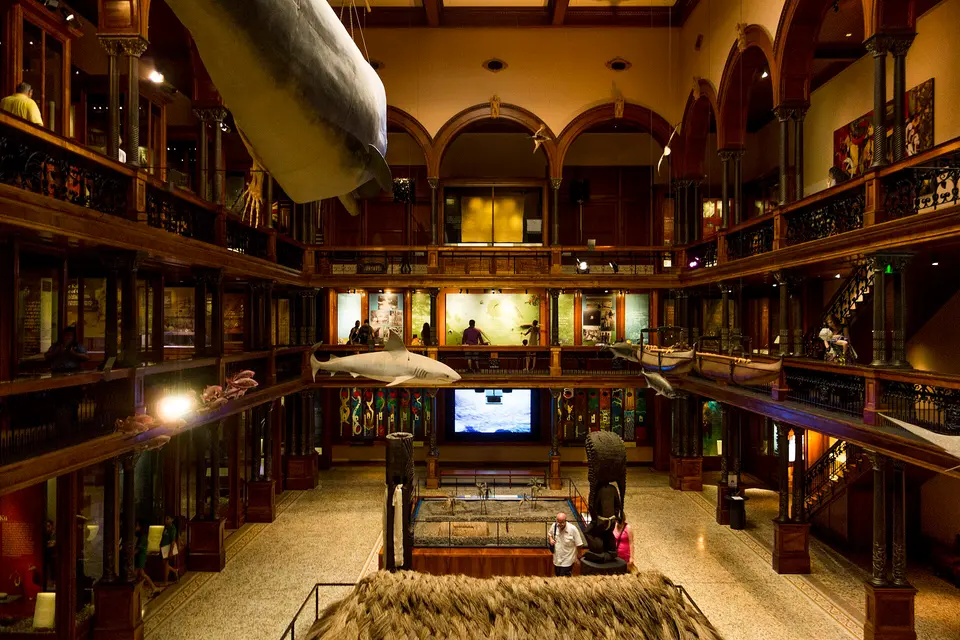 Bishop Museum