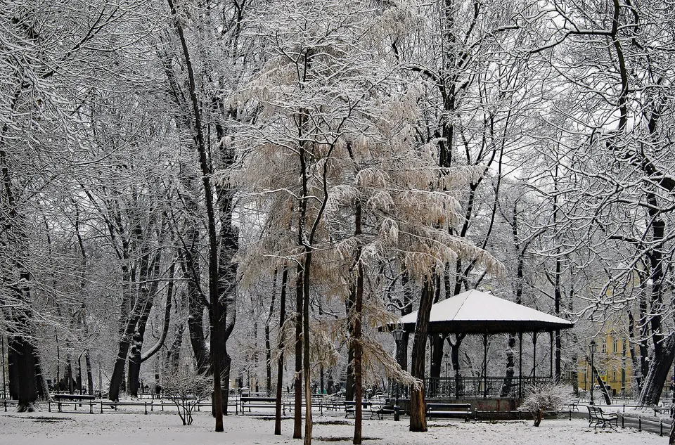 Planty Park