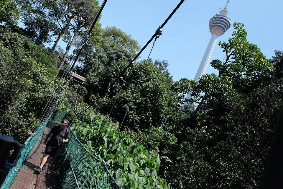 KL Forest Eco Park canopy walk and KL Tower