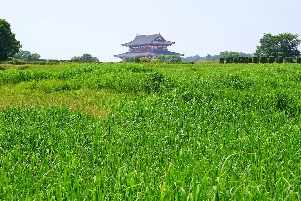 Heijō Palace site