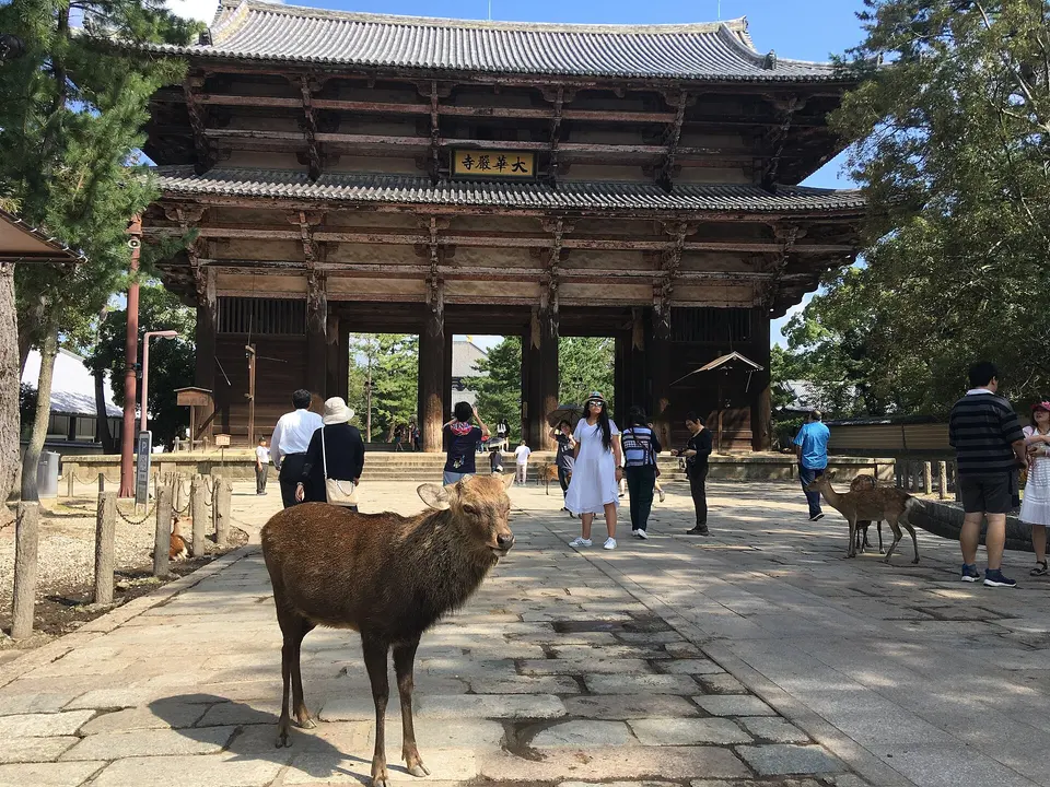 Nara