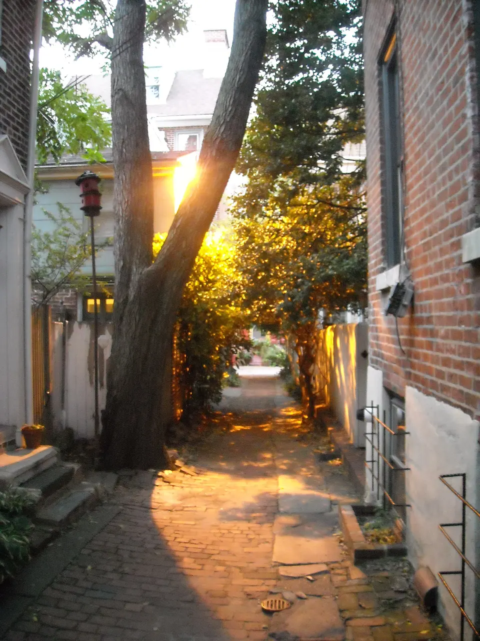 Elfreth's Alley