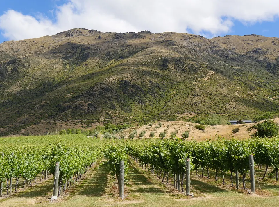 Gibbston Valley wineries
