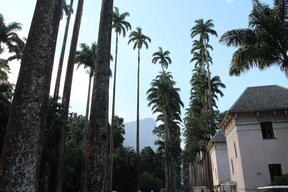 Jardim Botânico