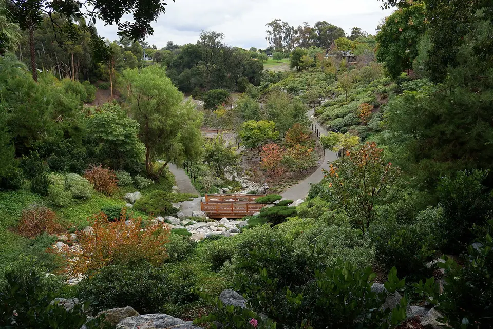 Japanese Friendship Garden