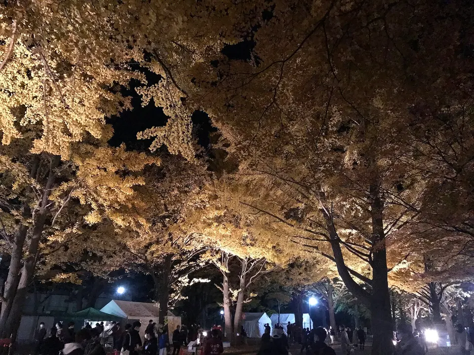 Hokkaido University