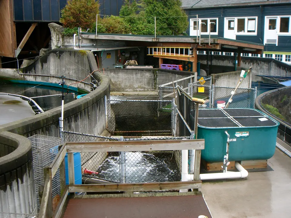 Seattle Aquarium