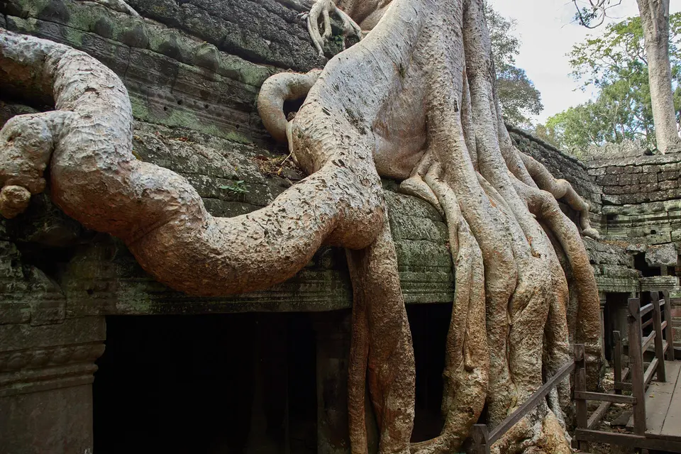 Ta Prohm