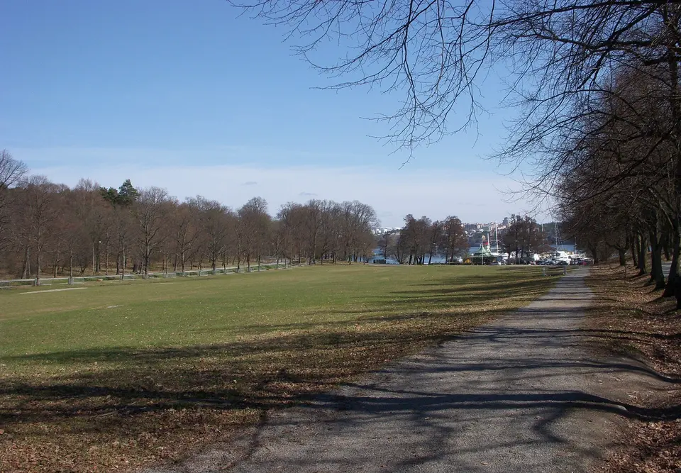 Djurgården park paths