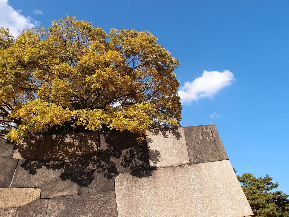 Imperial Palace East Gardens