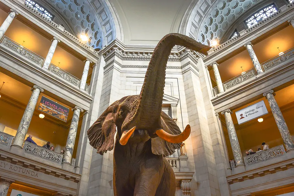 National Museum of Natural History