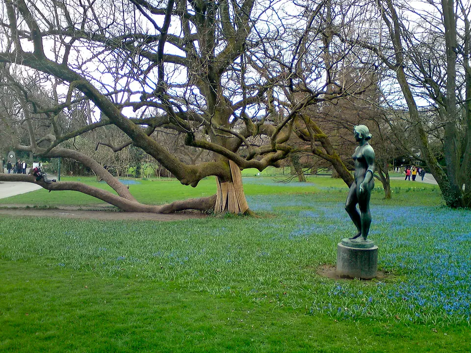 Arboretum and lakeside paths